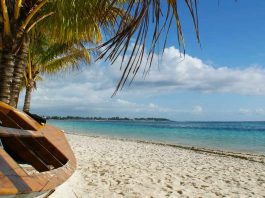 Mauritius - palma - plaża - łódź - błękitne morze