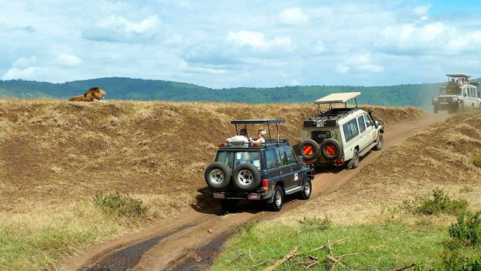 Afryka Jeep Safari